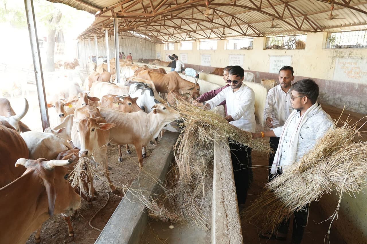 Financial Support for medical care